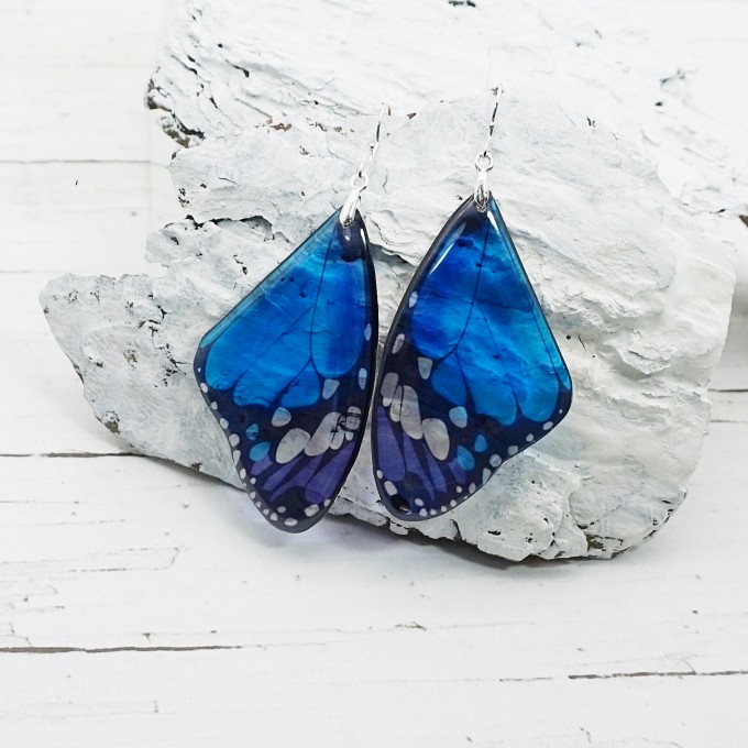 Blue Butterfly Wing Earrings