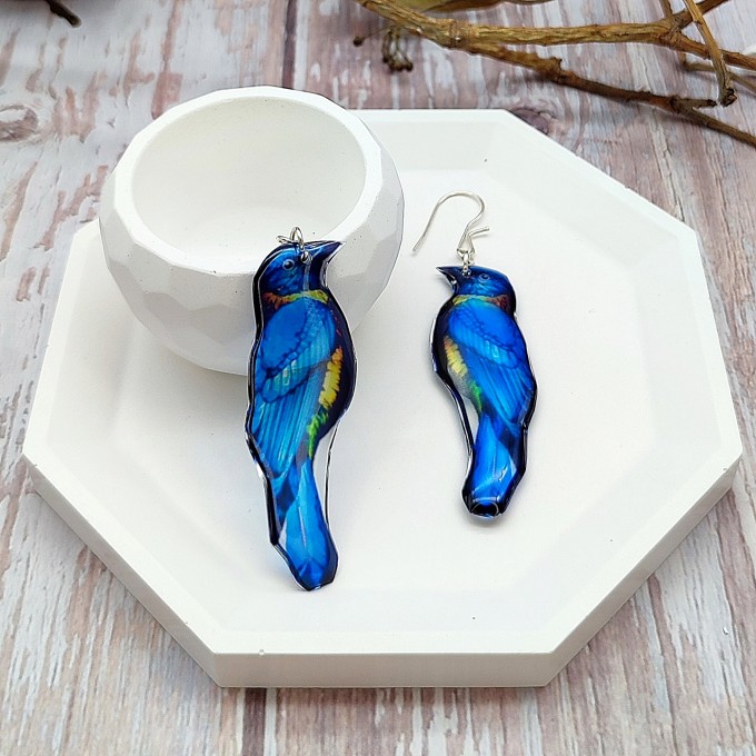 Realistic Blue Florida Scrub Jay Bird Earrings made from high-quality resin. Lightweight, vibrant, and shiny.