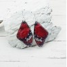 Dark Red Butterfly Wing Earrings | Transparent Resin Jewelry
